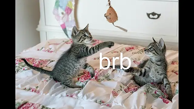 Pink girl0n online show from 09.24.25