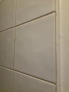 raen001 online show from 11.06.25