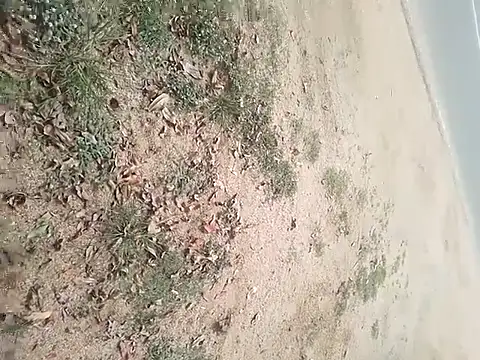 SAManthapathmasri online show from 11.17.25