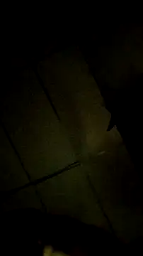 Bosssweet22cm online show from 03.18.26