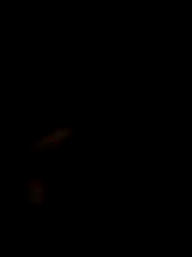 Snapshot of SofieLove_01 chatting on 12.01.25 SofieLove 01 online show from 12.01.25