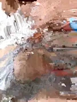 tw swag online show from 01.06.26