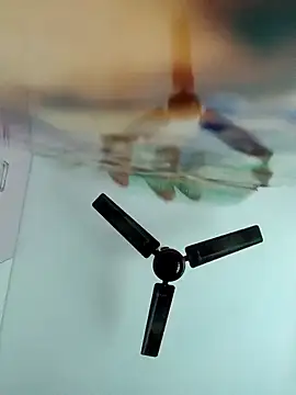 Snapshot of chaitanyaniharika chatting on 12.20.25 chaitanyaniharika online show from 12.20.25