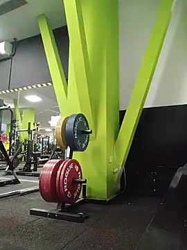 ReynadelRey online show from 02.14.26