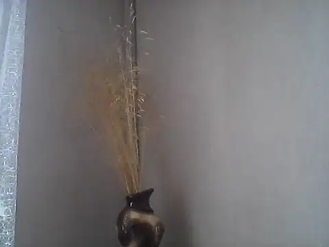 Littlecatme online show from 07.21.26