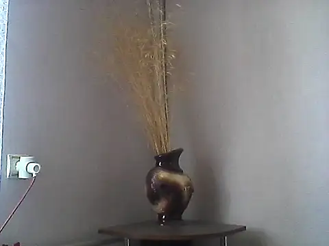 Littlecatme online show from 07.27.26