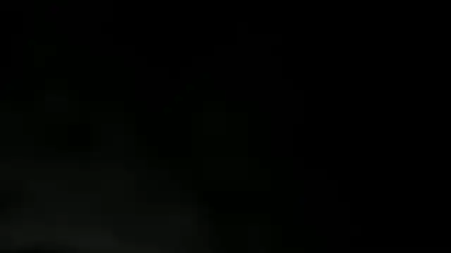 WILD FIREE  online show from 12.02.25