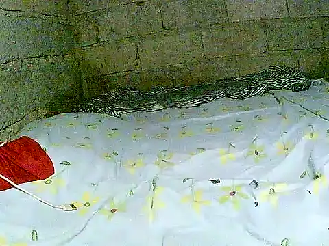 Snapshot of hotmom_pinay chatting on 12.01.25 hotmom pinay online show from 12.01.25