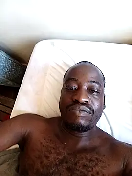 WaiterZim online show from 02.02.26