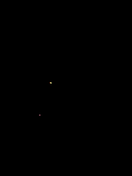 Mumuska online show from 01.16.26