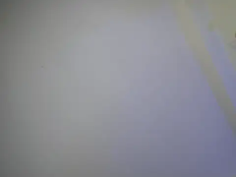 Theevae online show from 10.14.25