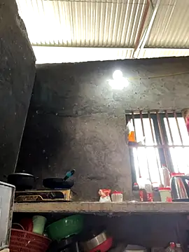 Sunny lotus online show from 11.16.25