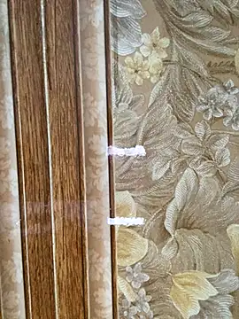 Snapshot of Julia-Elsa chatting on 11.02.25 Julia-Elsa online show from 11.02.25