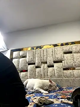 DayanaDG online show from 01.09.26