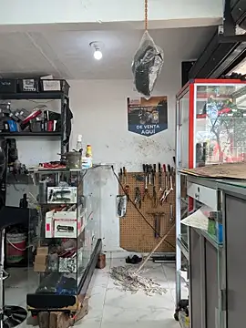 Snapshot of Terra-22cm chatting on 10.25.25 Terra-22cm online show from 10.25.25