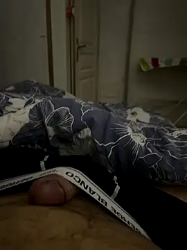 Snapshot of carapace31 chatting on 11.26.25 carapace31 online show from 11.26.25