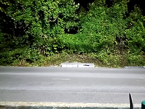 Snapshot of sloppytopkins chatting on 09.15.25 sloppytopkins online show from 09.15.25