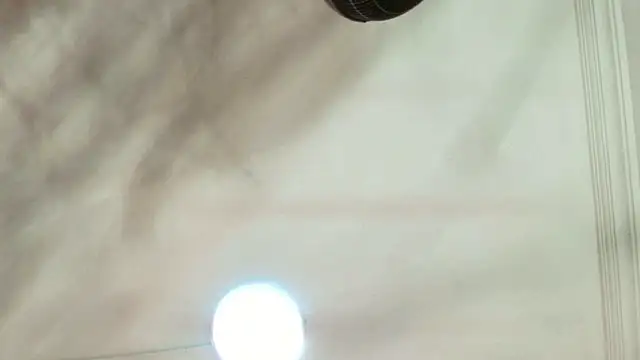 Dixie grey1 online show from 09.13.25