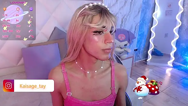 Snapshot of kaisage_tay chatting on 11.27.25 kaisage tay online show from 11.27.25