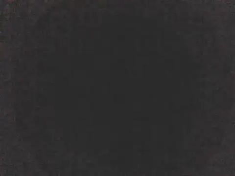 Snapshot of PenerPanShibari chatting on 11.24.25 PenerPanShibari online show from 11.24.25