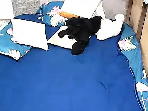 xxhottinybabe online show from 07.29.26