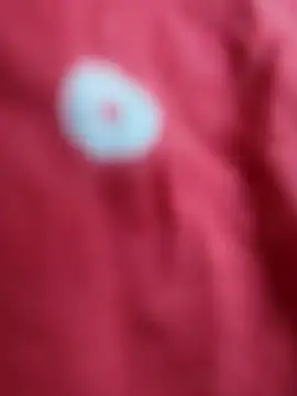 sana-5 online show from 02.16.26