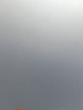 Snapshot of Cut_rajbati chatting on 11.29.25 Cut rajbati online show from 11.29.25