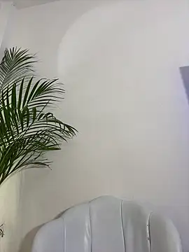 Ariana2017 online show from 06.11.26