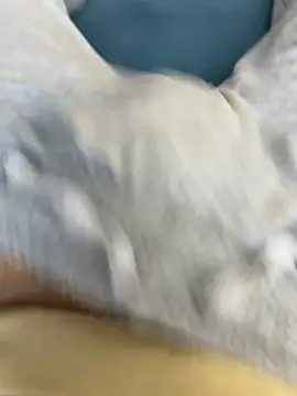 Snapshot of Frankieyyy1 chatting on 03.15.26 Frankieyyy1 online show from 03.15.26