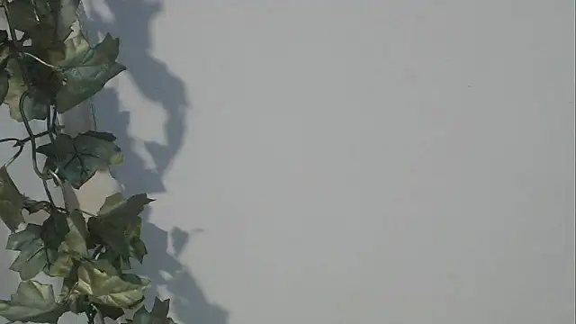 Snapshot of angelainparis28 chatting on 10.05.25 angelainparis28 online show from 10.05.25