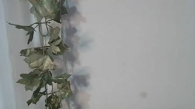 Snapshot of angelainparis28 chatting on 10.12.25 angelainparis28 online show from 10.12.25