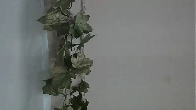 Snapshot of angelainparis28 chatting on 12.02.25 angelainparis28 online show from 12.02.25