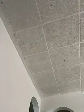 LICEET online show from 09.25.25