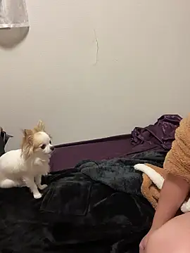 h415a812 online show from 11.04.25