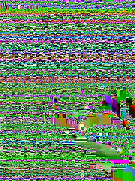 amnnnnnnnnnnn online show from 12.05.25