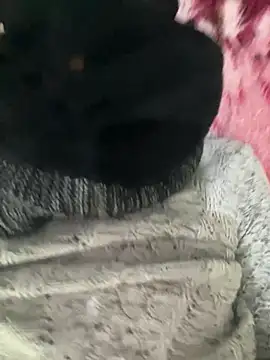 Snapshot of Yasar-Xxxl chatting on 02.12.26 Yasar-Xxxl online show from 02.12.26