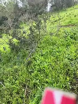 Snapshot of Yasar-Xxxl chatting on 03.06.26 Yasar-Xxxl online show from 03.06.26