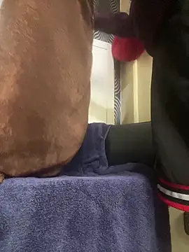 Snapshot of Yasar-Xxxl chatting on 03.12.26 Yasar-Xxxl online show from 03.12.26