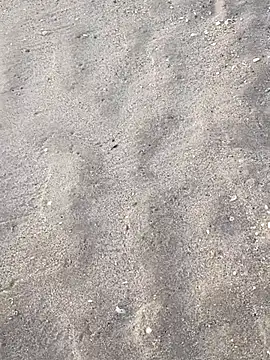 Snapshot of sarahkat86 chatting on 11.05.25 sarahkat86 online show from 11.05.25