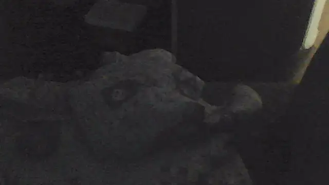 Snapshot of sarahkat86 chatting on 11.13.25 sarahkat86 online show from 11.13.25