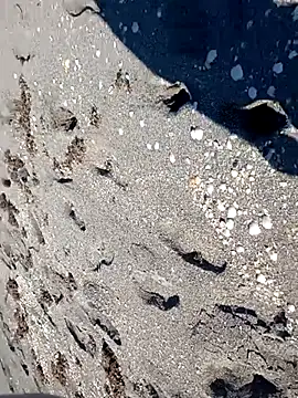 Snapshot of sarahkat86 chatting on 11.14.25 sarahkat86 online show from 11.14.25