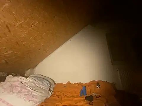 Salon1986 online show from 10.12.25