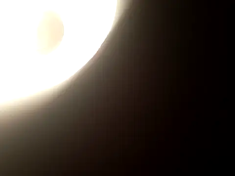 Salon1986 online show from 10.31.25