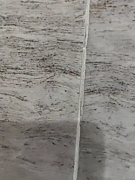 hot plak online show from 11.19.25