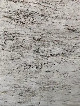 hot plak online show from 11.29.25