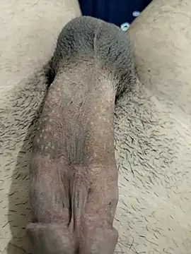 Zepe 12 online show from 11.30.25