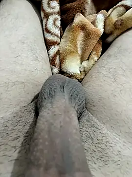 Zepe 12 online show from 02.12.26