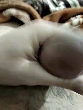 Zepe 12 online show from 03.01.26