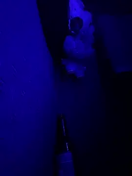 Snapshot of MikeFake chatting on 02.19.26 MikeFake online show from 02.19.26