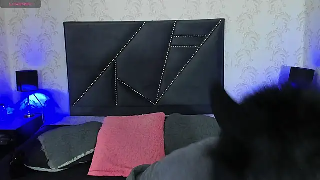 Snapshot of danny_rios20 chatting on 02.20.26 danny rios20 online show from 02.20.26